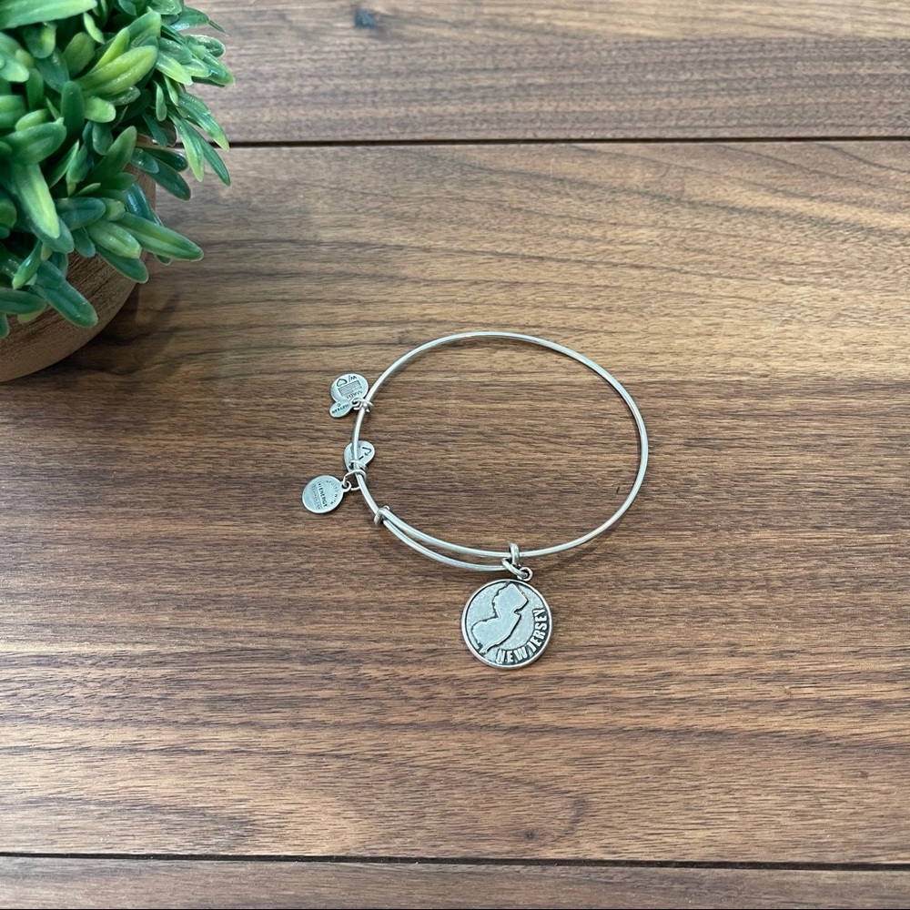 ALEX AND ANI New Jersey NJ Bangle Bracelet